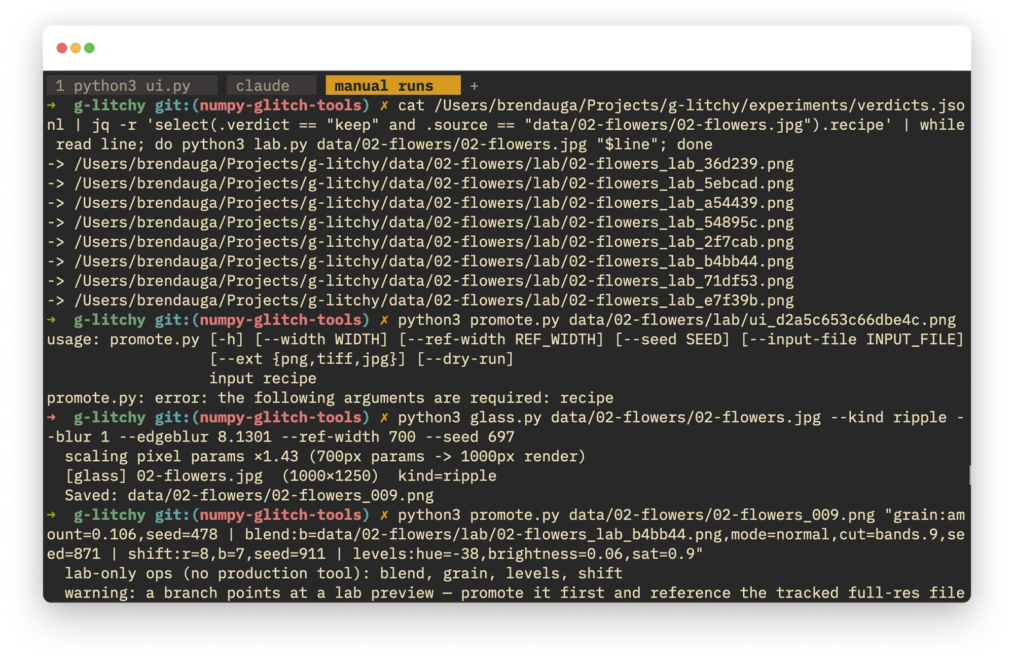 A terminal titled “manual runs”. A cat piped into jq pulls every kept recipe for one flower photo out of verdicts.jsonl and loops them through lab.py, printing a run of saved PNG paths. Below, a promote.py call errors for a missing argument, then a glass.py ripple command renders and saves an image, and a final promote.py line carries a long recipe of grain, blend, shift and levels steps.